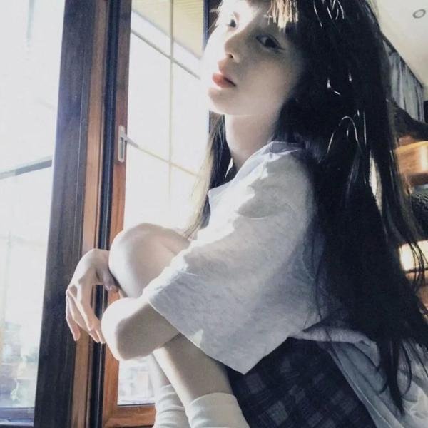 完美计划